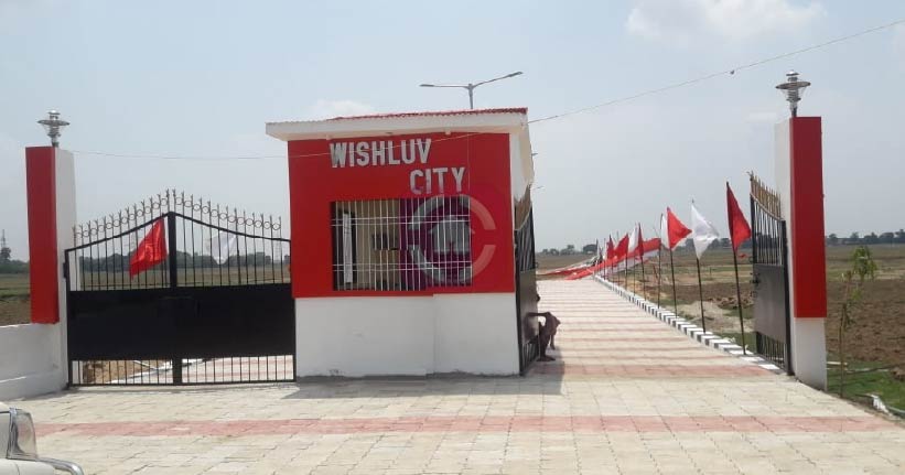 Wishluv City Cover Image